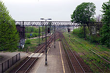 min 231 11.jpg min 231 11.jpg